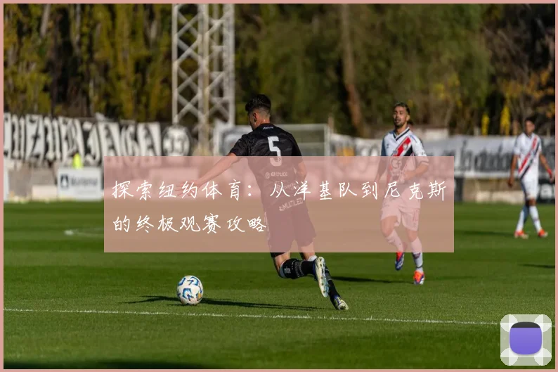 探索纽约体育：从洋基队到尼克斯的终极观赛攻略