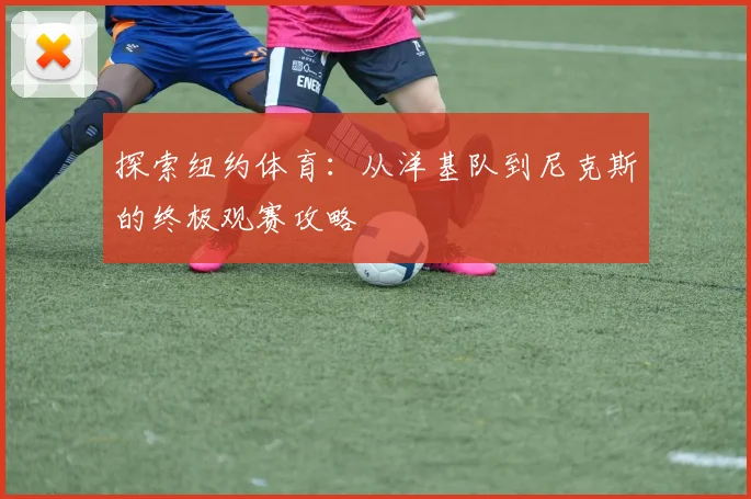 探索纽约体育：从洋基队到尼克斯的终极观赛攻略